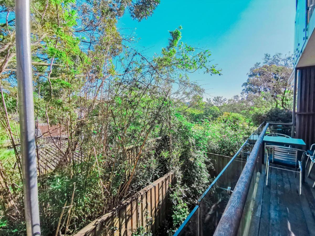 Glebe House Homestay Sydney Esterno foto